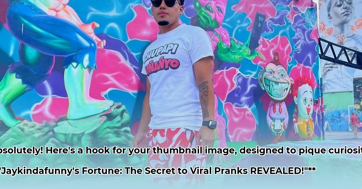 jaykindafunny-net-worth